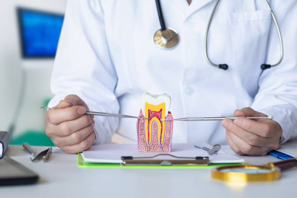 Best Broken Tooth Emergency  in Edneyville, NC